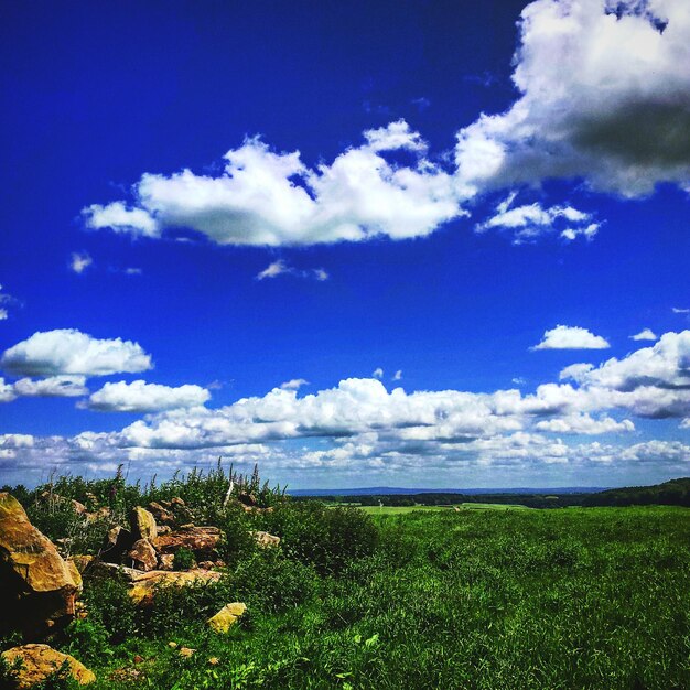 Vista tranquila de um campo de grama contra o céu nublado