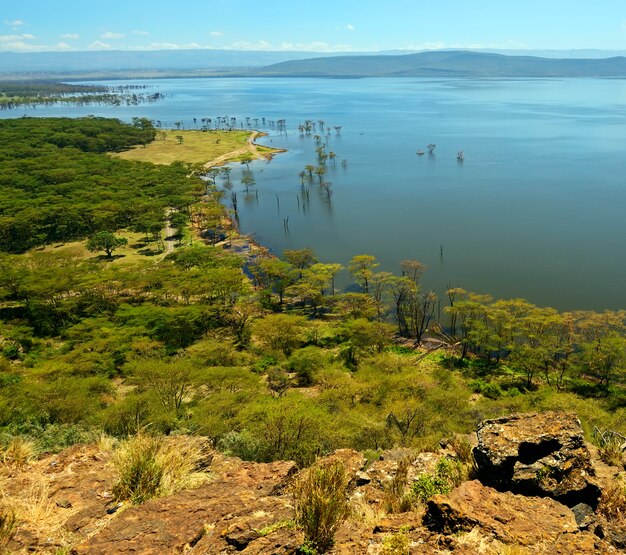 Vista tranquila sobre el lago Nakuru. África. Kenia