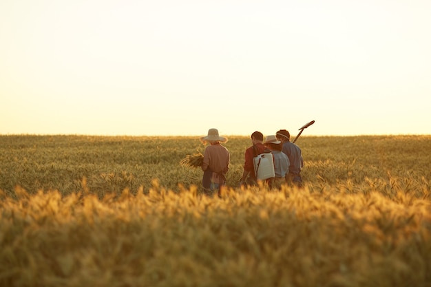 Vista traseira ampla para trabalhadores segurando ferramentas enquanto caminham pelo campo dourado na luz do sol, copie o espaço