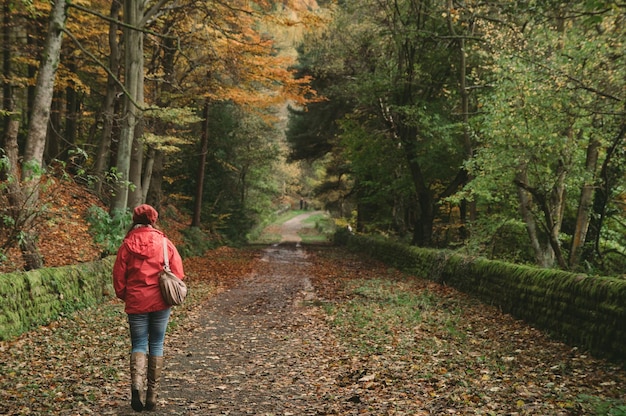 Vista traseira da mulher andando na trilha na floresta