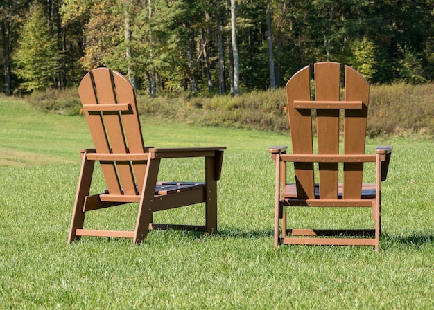 Vista traseira das costas de um par de cadeiras de madeira adirondack voltadas para uma floresta sobre o gramado
