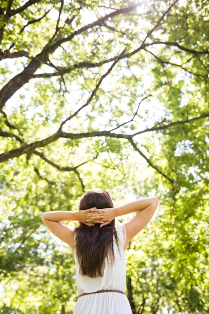 Vista traseira de ângulo baixo de mulher relaxante contra árvores