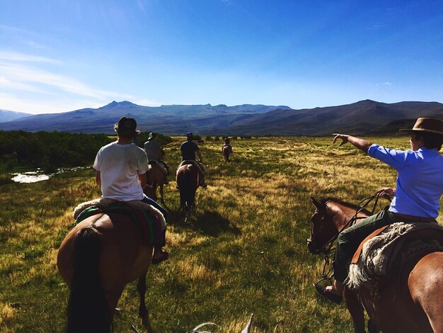 Foto vista traseira de cavalos a cavalo na paisagem