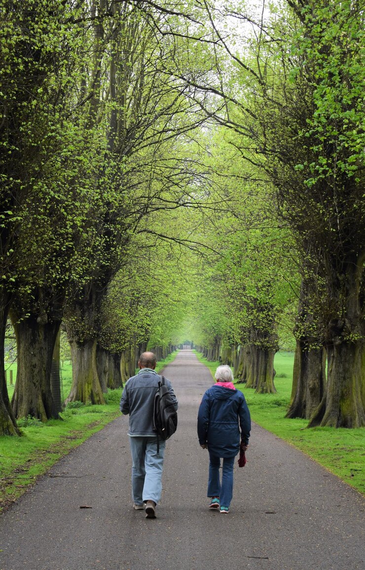 Foto vista traseira de comprimento completo de homem e mulher caminhando entre árvores na estrada