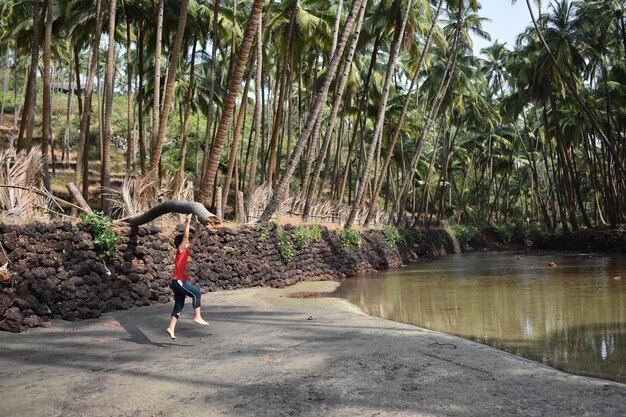 Foto vista traseira de comprimento completo de mulher caminhando por palmeiras