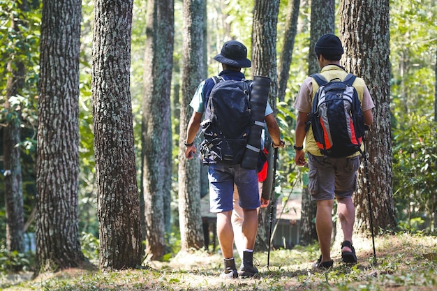 Vista traseira de dois amigos caminhantes carregando mochila caminhando em uma trilha no parque florestal de pinheiros Hiker mal