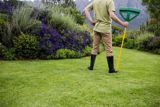 Vista traseira, de, homem sênior, ficar, com, ferramenta jardim