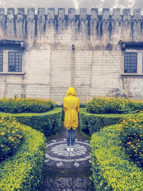 Foto vista traseira de mulher caminhando sobre flores amarelas