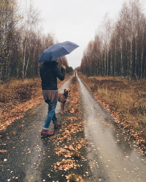 Foto vista traseira de mulher carregando guarda-chuva enquanto caminha com o cão vizsla durante o outono