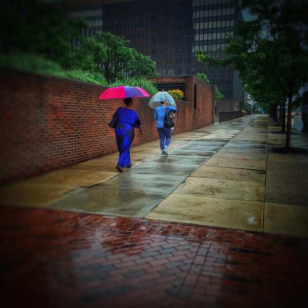 Vista traseira de mulheres caminhando com guarda-chuva na rua