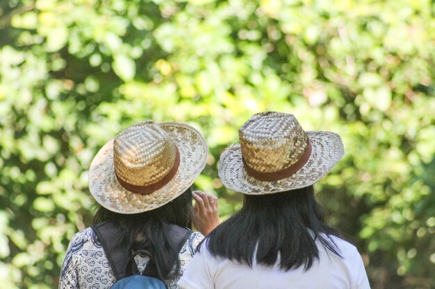 Foto vista traseira de mulheres usando chapéu contra árvores