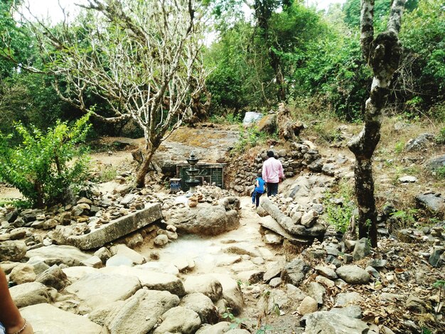 Vista traseira de pai e filho em uma formação rochosa na floresta
