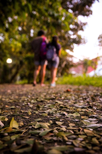 Foto vista traseira de um casal caminhando por uma calçada durante o outono