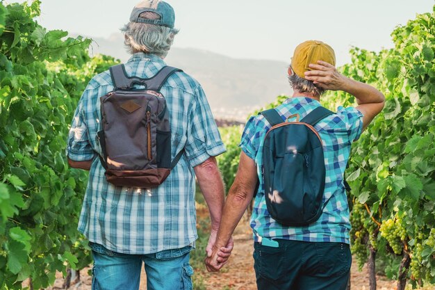 Vista traseira de um casal sênior de turistas em Tenerife viajando visitando vinhedos andando entre videiras Pessoas de férias na paisagem do vale de verão