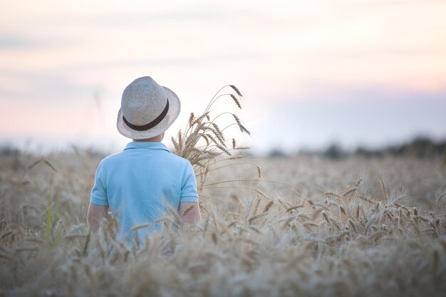Vista traseira de um garoto bonitinho de chapéu de palha andando no campo de trigo no belo pôr do sol Criança no prado