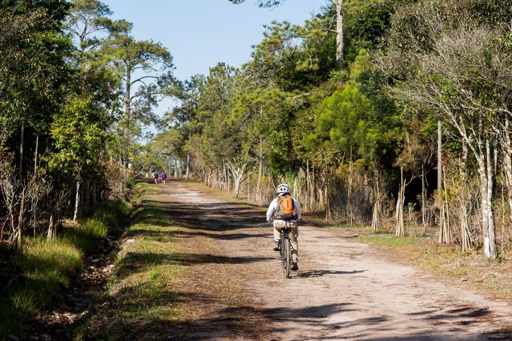 Foto vista traseira de um homem andando de bicicleta na floresta