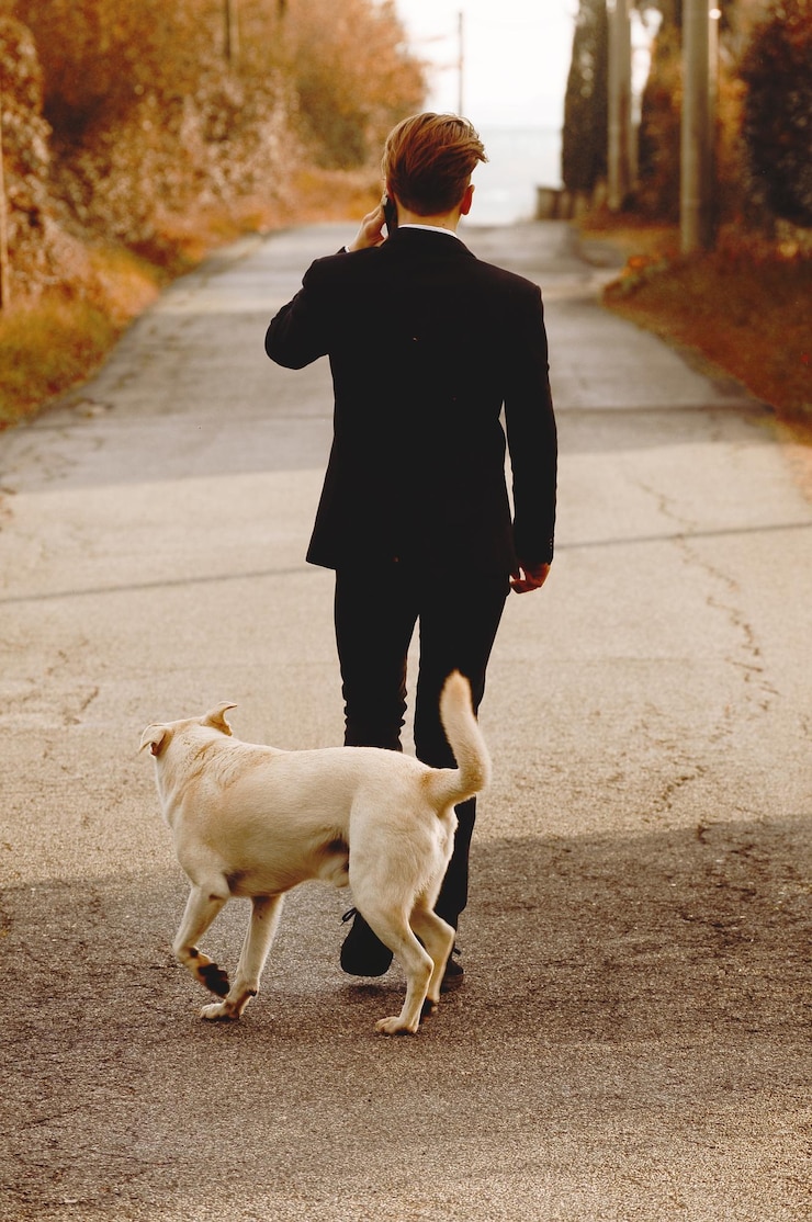 Foto vista traseira de um homem caminhando com um cachorro na calçada