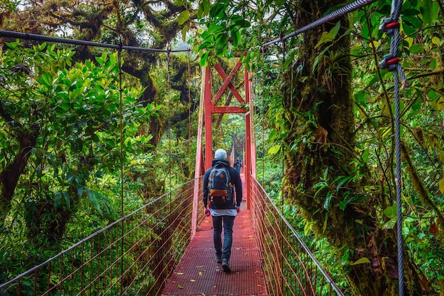 Foto vista traseira de um homem caminhando em uma ponte pedonal na floresta