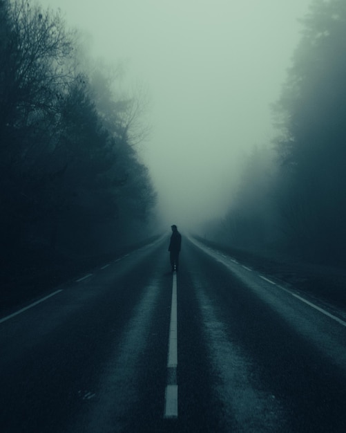 Vista traseira de um homem caminhando na estrada contra o céu