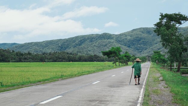 Vista traseira de um homem caminhando na estrada por uma paisagem verde