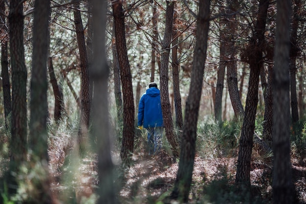 Vista traseira de um homem caminhando na floresta