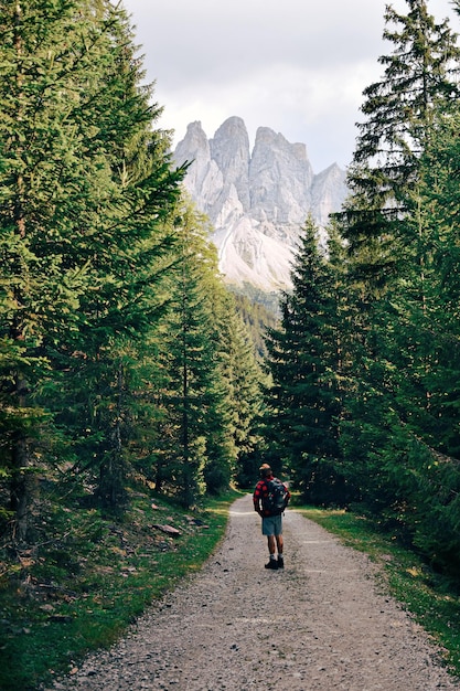 Vista traseira de um homem caminhando pela floresta