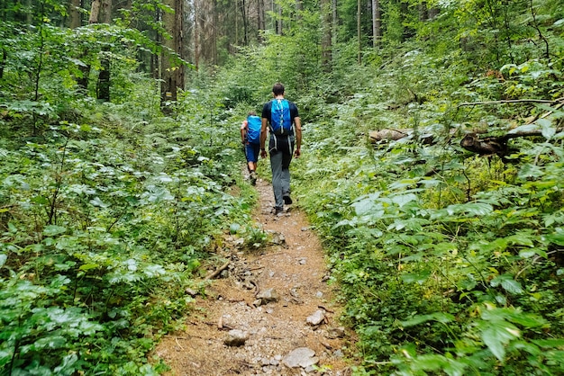 Vista traseira de um homem caminhando por uma trilha na floresta