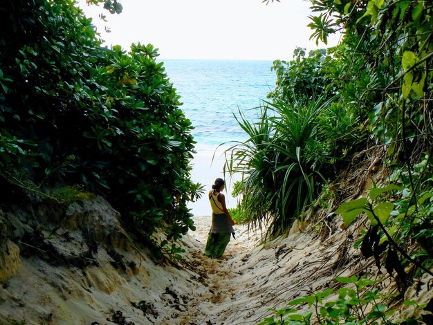 Foto vista traseira de um homem caminhando sobre uma rocha ao lado do mar