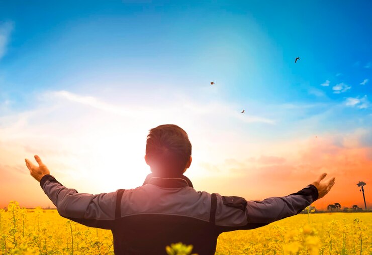 Foto vista traseira de um homem com os braços estendidos de pé em um campo de colza durante o nascer do sol