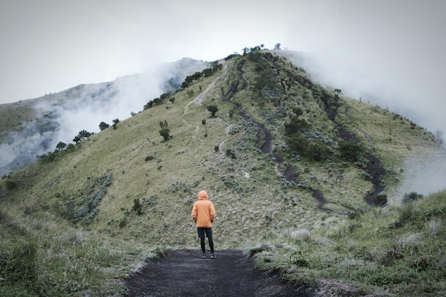 Vista traseira de um homem de pé junto à montanha verde