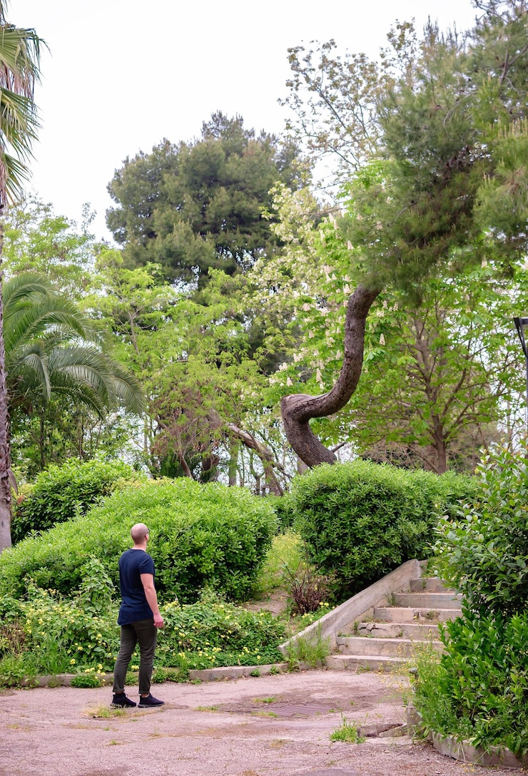 Foto vista traseira de um homem de pé na calçada no parque