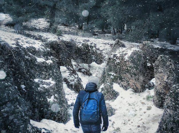 Vista traseira de um homem de pé na floresta coberta de neve