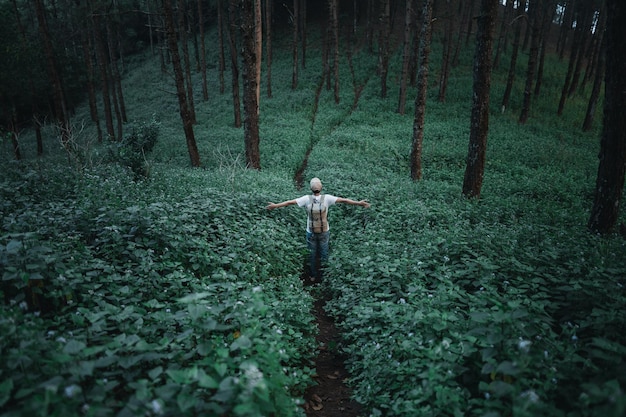Vista traseira de um homem de pé no meio de plantas na floresta