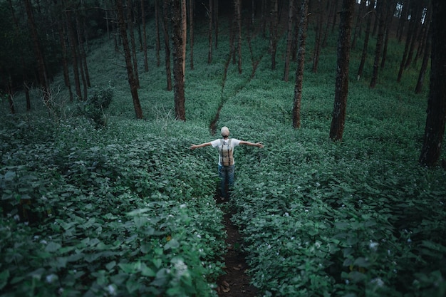 Foto vista traseira de um homem de pé no meio de plantas na floresta