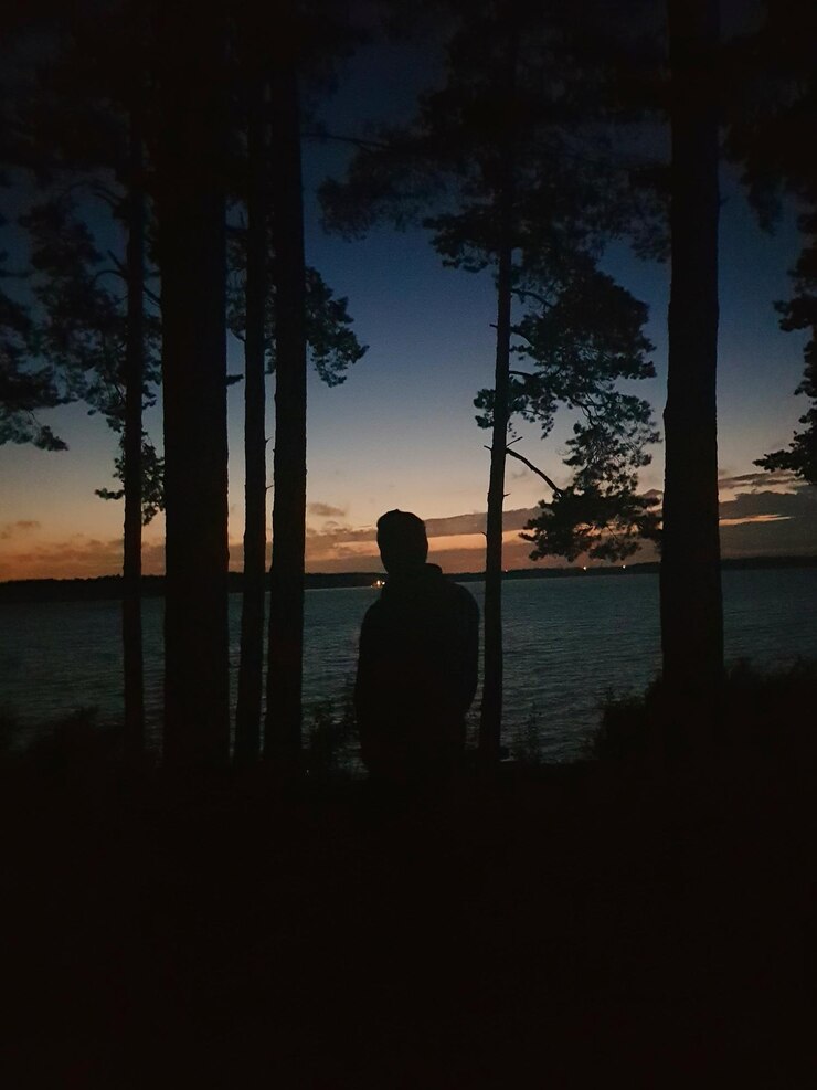 Foto vista traseira de um homem em silhueta de pé ao lado do lago durante o pôr do sol