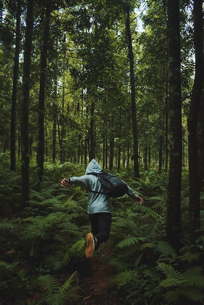 Foto vista traseira de um homem pulando na floresta