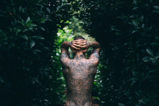 Vista traseira de um homem sem camisa com tatuagem de pé no meio de plantas na floresta