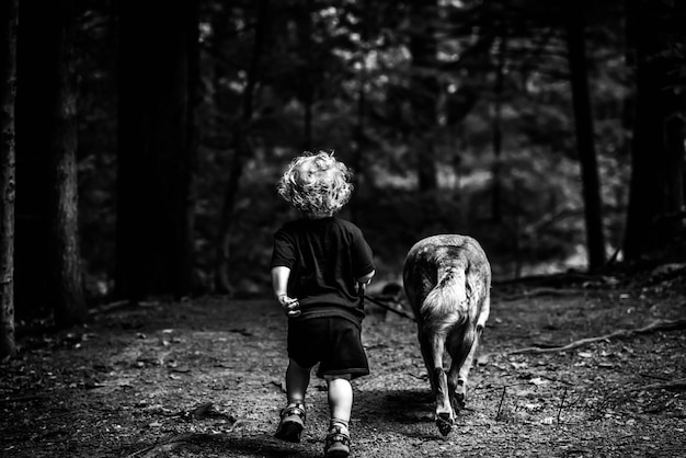 Vista traseira de um menino caminhando com um cão na floresta