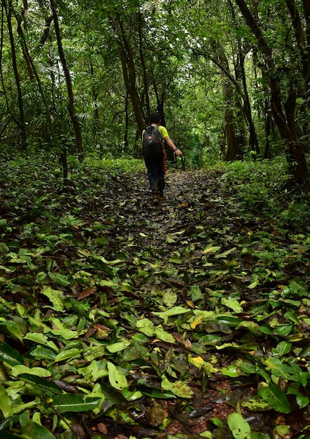 Foto vista traseira de um menino caminhando na floresta