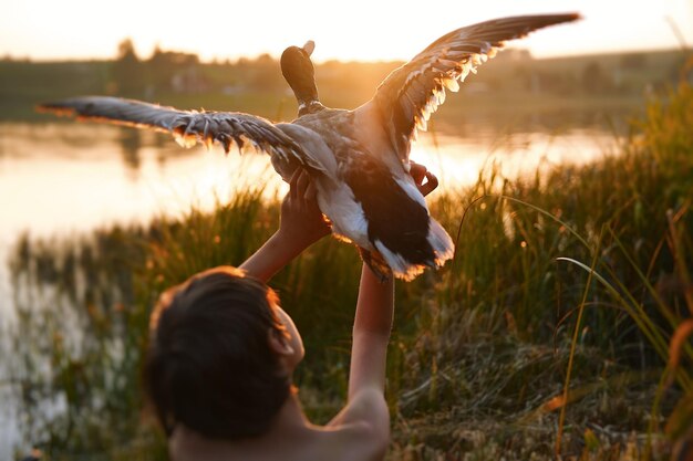 Foto vista traseira de um menino e um pássaro voador no pôr-do-sol
