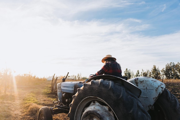 Vista traseira de uma agricultora latina dirigindo um trator velho, no meio de sua fazenda ao pôr do sol