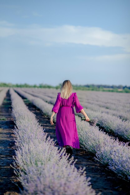 Vista traseira de uma jovem usando óleo essencial de lavanda vestido roxo acenando com flores frescas de lavanda Lavendula oleum