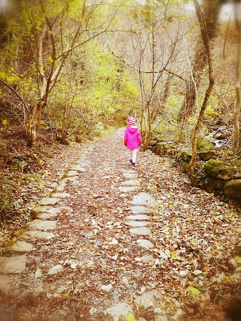 Vista traseira de uma menina caminhando em meio a uma árvore nua