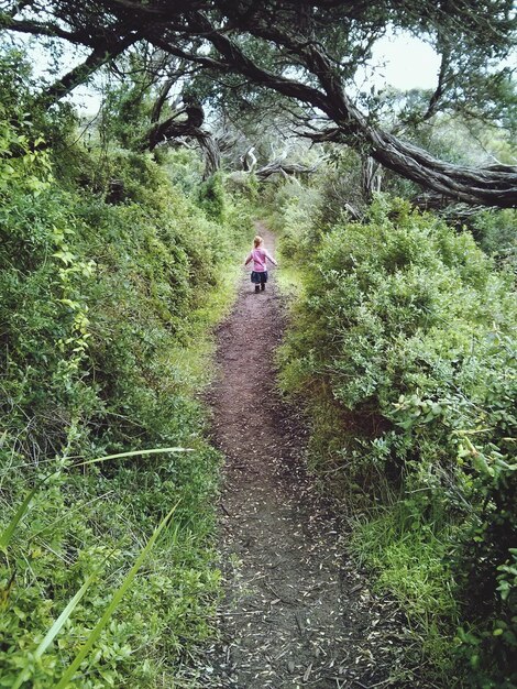 Vista traseira de uma menina caminhando por uma trilha no meio de árvores na floresta