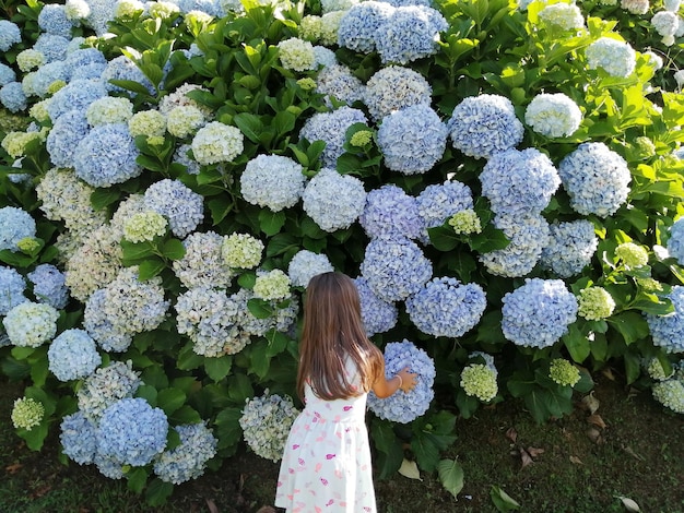 Foto vista traseira de uma menina de pé junto a plantas em flor