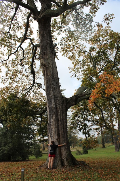 Vista traseira de uma mulher abraçando uma árvore na floresta durante o outono