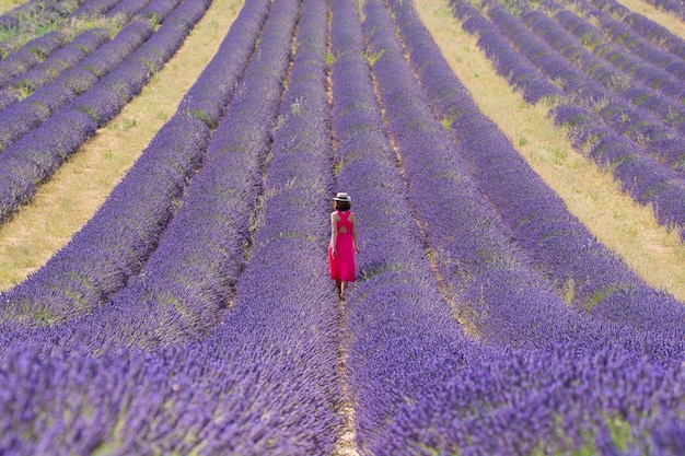 Foto vista traseira de uma mulher caminhando em um campo de lavanda