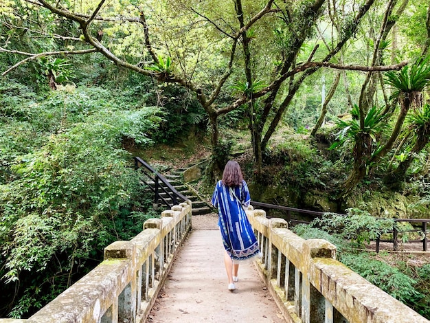 Vista traseira de uma mulher caminhando em uma ponte pedonal na floresta