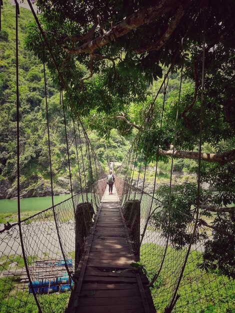 Vista traseira de uma mulher caminhando em uma ponte pedonal na floresta