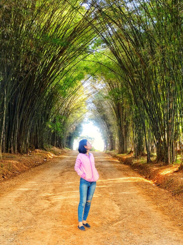 Foto vista traseira de uma mulher caminhando por uma calçada entre árvores